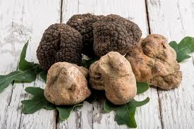 Avviso per la presentazione telematica delle domande di indennità per la conservazione del patrimonio tartufigeno regionale in attuazione del piano per la valorizzazione del patrimonio tartufigeno regionale 2024.